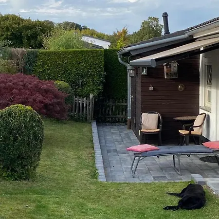 Glueckspilz Beim Hennesee *