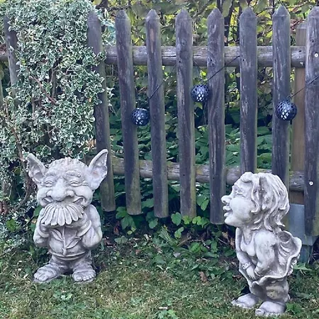 Glueckspilz Beim Hennesee *