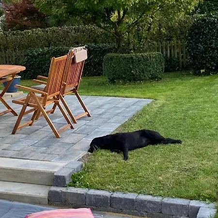 Glueckspilz Beim Hennesee