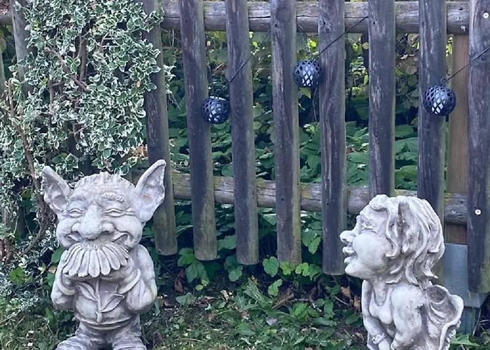 Glueckspilz Beim Hennesee *