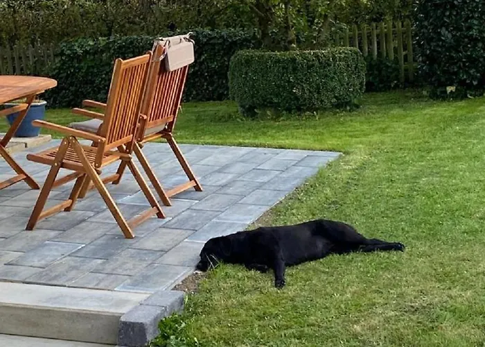 Glueckspilz Beim Hennesee